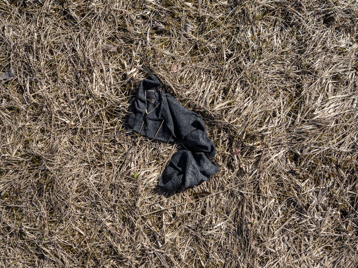 Reykjavík. Miscellaneous XCVI. - . (1 till 30 April 2016)