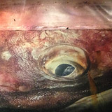 June 2016 &ndash; &Oacute;lafsv&iacute;k. STEYPA Photography Exhibition. (9 pictures)