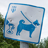 4 till 13 June 2016 &ndash; Reykjav&iacute;k and little bit more. Miscellaneous 98. (19 pictures)